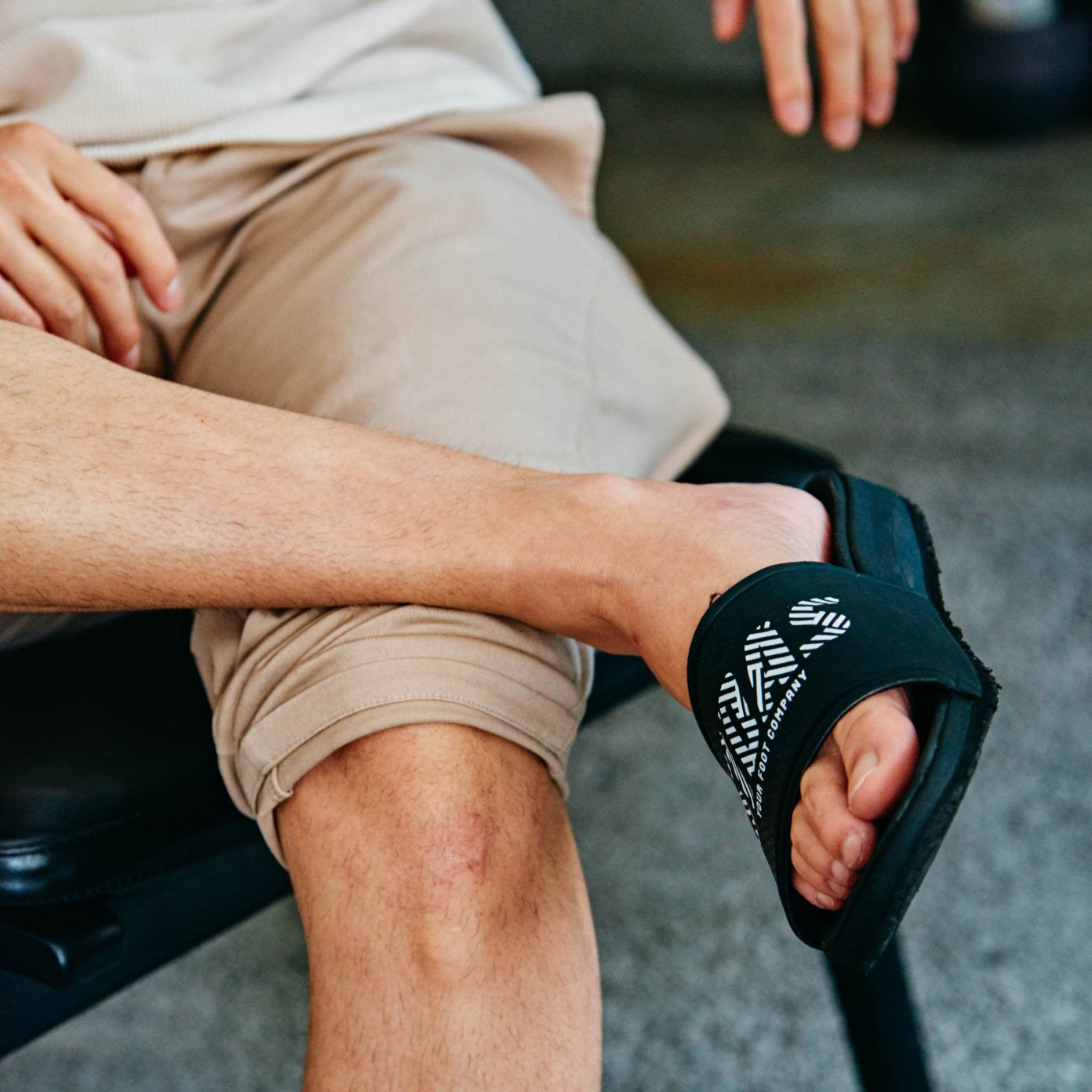 3D Diapositiva Zebra