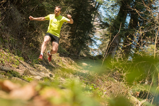 The race for intense sensation (2/2)