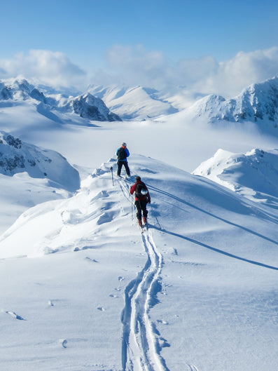 Ski touring